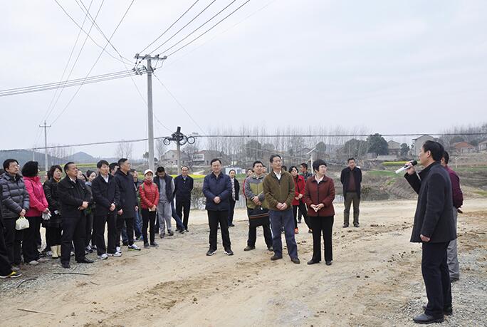 省政协机关组织干部职工赴红安开展义务植树活动